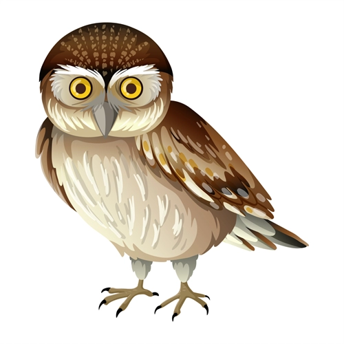 Jungle Safari Wise Owl Transparent Sticker